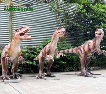 Populiarus natūralaus dydžio Velociraptor pasirodymui